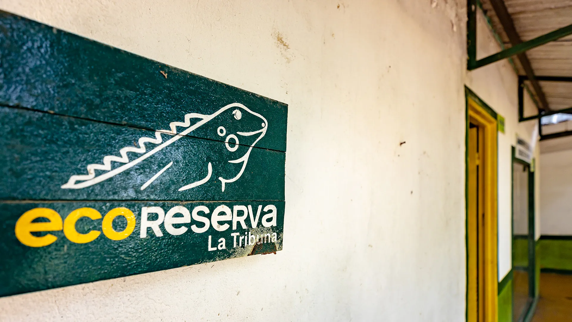 Colaboración con Ecopetrol para la planeación ambiental 4